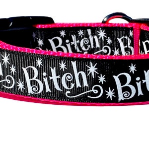 Bitch Dog Collar, Rude Dog Collar, Funny Dog Collar, Bitch Dog Leash