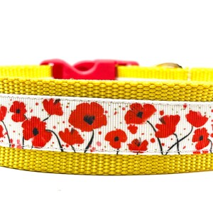 May include: Yellow dog collar with a white ribbon featuring a red poppy floral pattern.