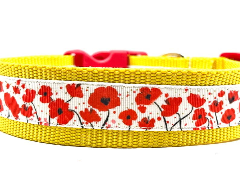 May include: Yellow dog collar with a white ribbon featuring a red poppy floral pattern.