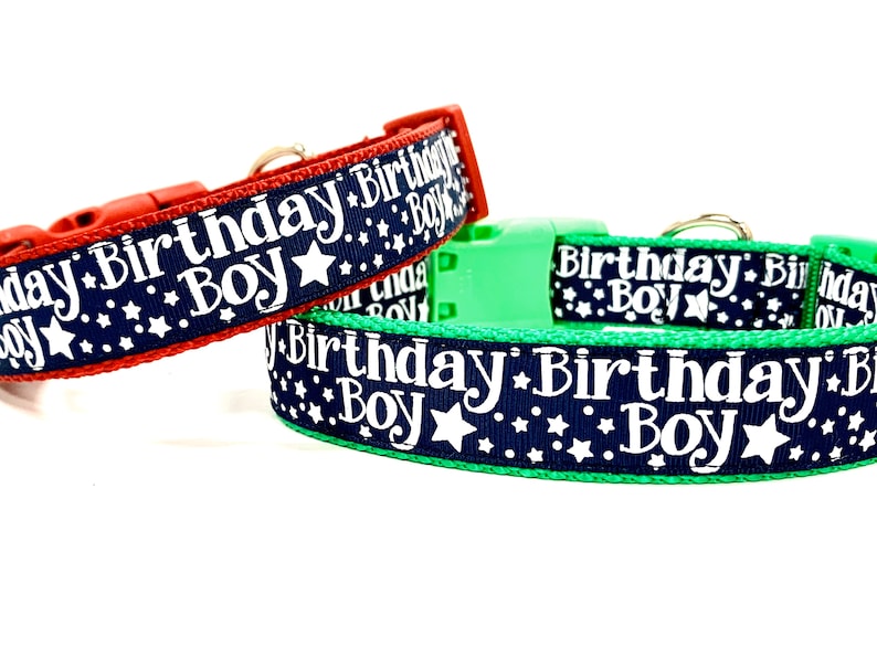 Birthday Boy Dog Collar Happy Birthday Collar Birthday Cat Etsy