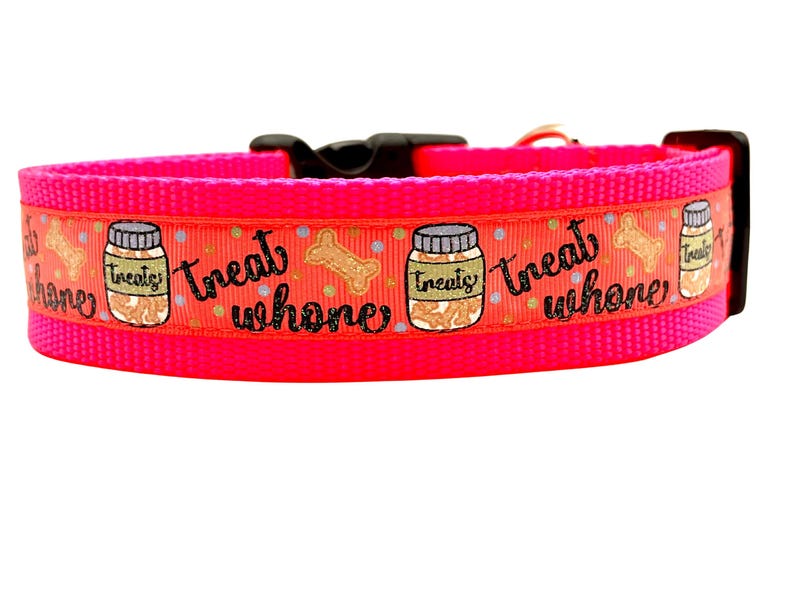 Coleira engraçada para cachorro: design de petisco, fita de nylon Neon Pink