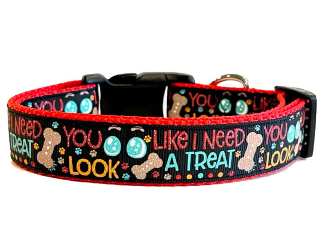 You Look Like I Need a Treat Dog Collar, Funny Dog Collar, Dog Gift
