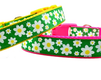 Daisy Dog Collar: Green Floral Garden Design