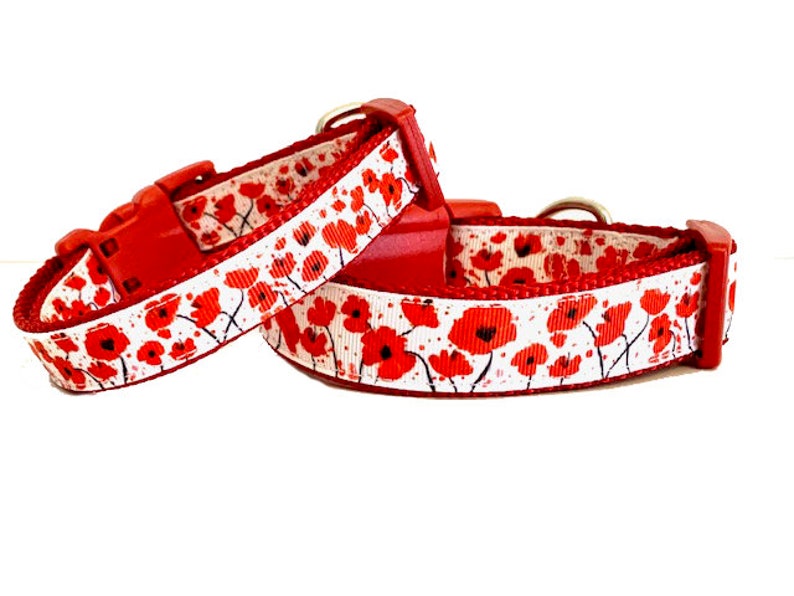 May include: Two red dog collars with a white background and a red poppy flower pattern.
