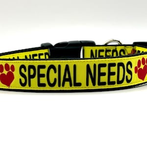 Special Needs Dog Collar, Special Needs Dog Leash, Special Needs Cat Collar,