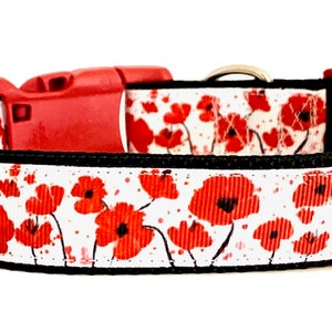 May include: A white dog collar with a red poppy print. The collar has a black trim and a red plastic buckle.