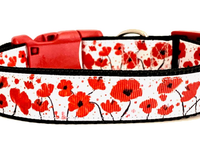 May include: A white dog collar with a red poppy print. The collar has a black trim and a red plastic buckle.