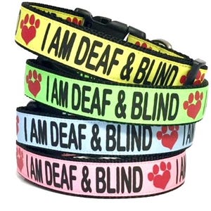I AM DEAF & BLIND Dog Collar or Leash,  Deaf Dog Gear, Blind Dog Porducts