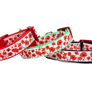 May include: Three dog collars with a white background and red poppy flower pattern. The collars are red, green, and black.
