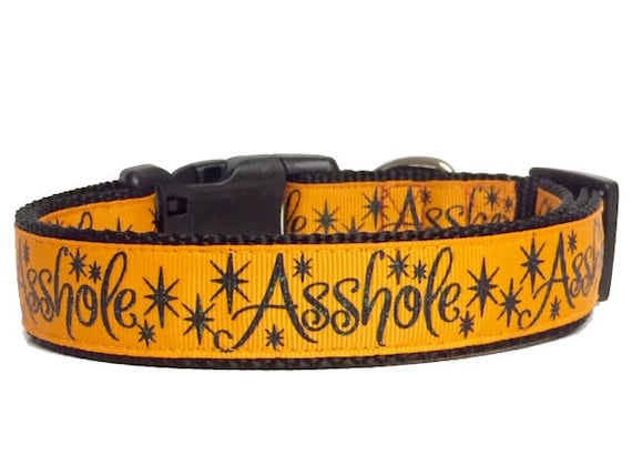 Asshole Dog Collar Funny Dog Collar Bad Words Adult Content 