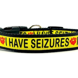 I HAVE SEIZURES Dog Collar or Leash, Special Needs Dog