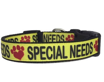 Special dog sale collars