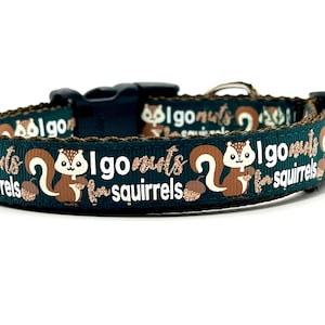 Squirrel Dog Collar: Funny Critter Print, Pine Green Ribbon