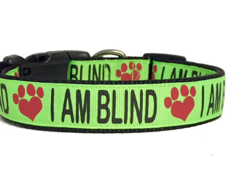I AM BLIND Dog Collar or Leash Special Needs Dog Blind Dog Etsy