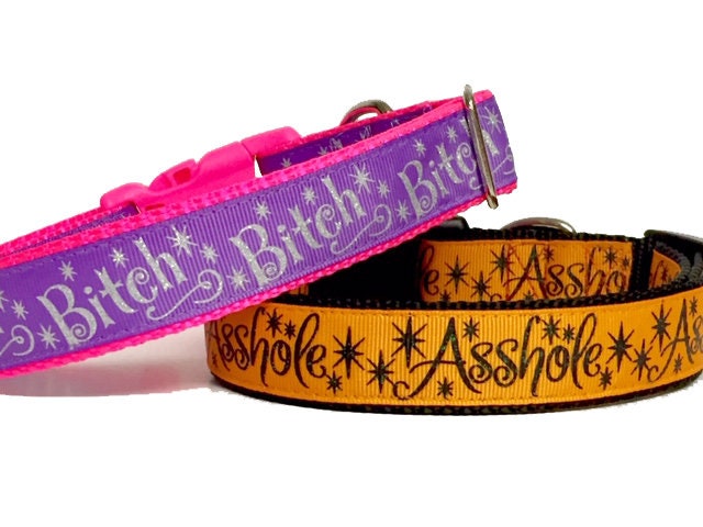 Asshole Dog Collar Funny Dog Collar Bad Words Adult Content 