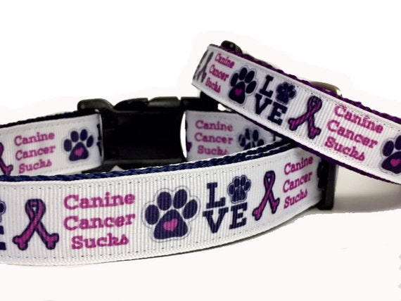 canine leashes and collars