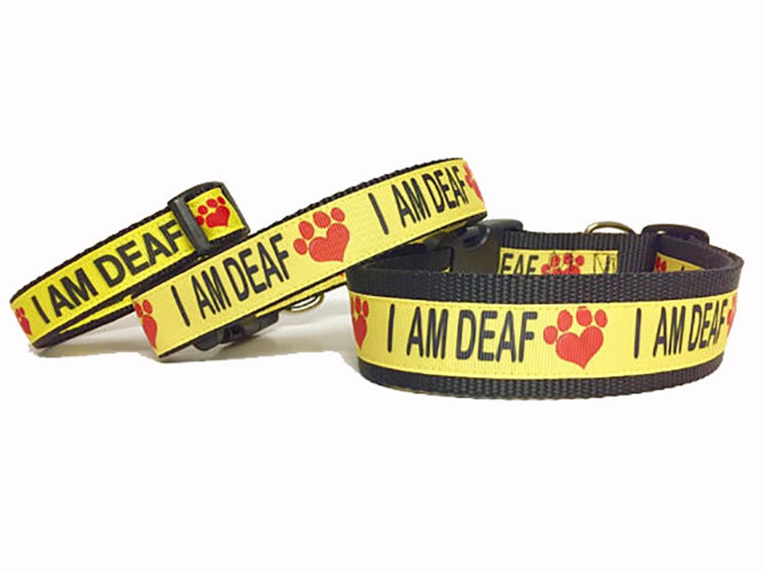 DEAF Dog Leash, Deaf Dog Collar, Deaf Dog Accessories, Etsy