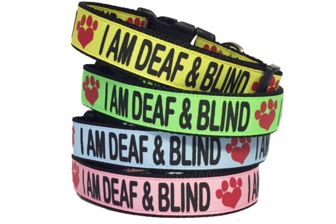 CENWA Hundehalsband Für Taube & Blinde Hunde – Verstellbar & Sicher