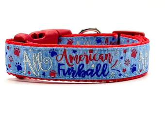 4th of July Dog Collar: Patriotic USA Pet Collar