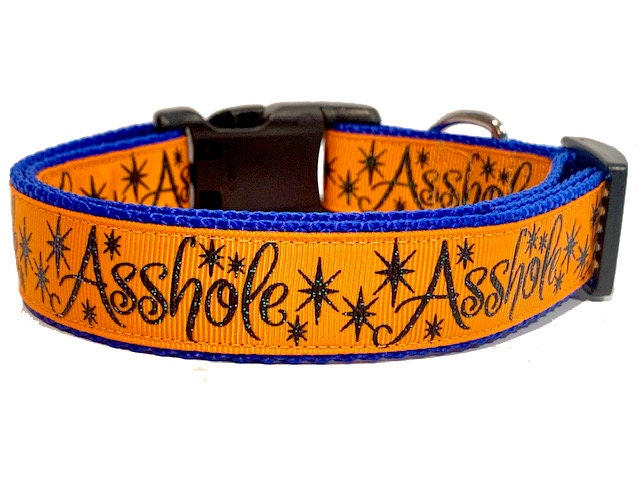 Asshole Dog Collar Funny Dog Collar Bad Words Adult Content 