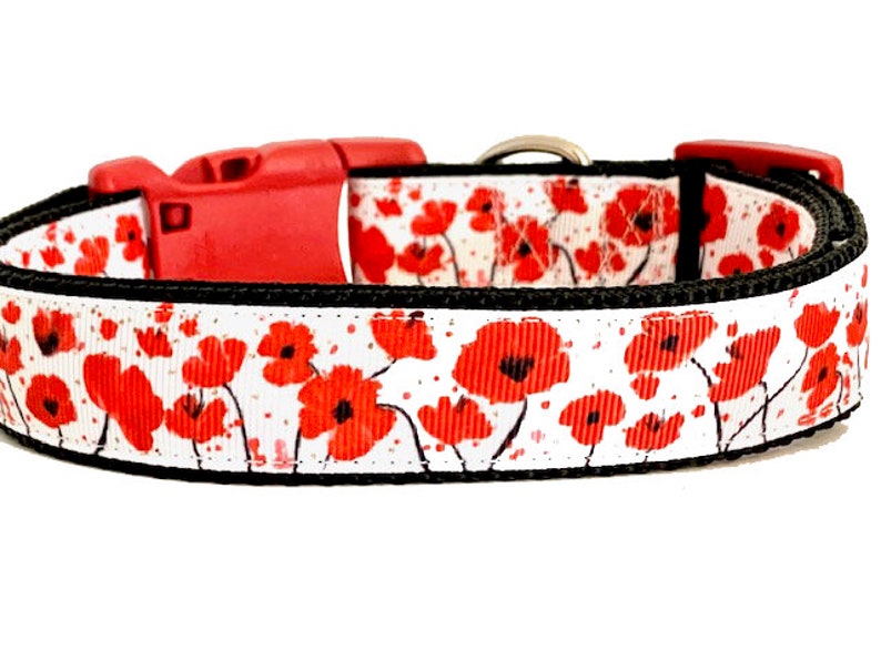May include: White dog collar with a red poppy floral print. The collar has a black trim and a red plastic buckle.