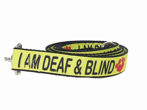 blind dog leash