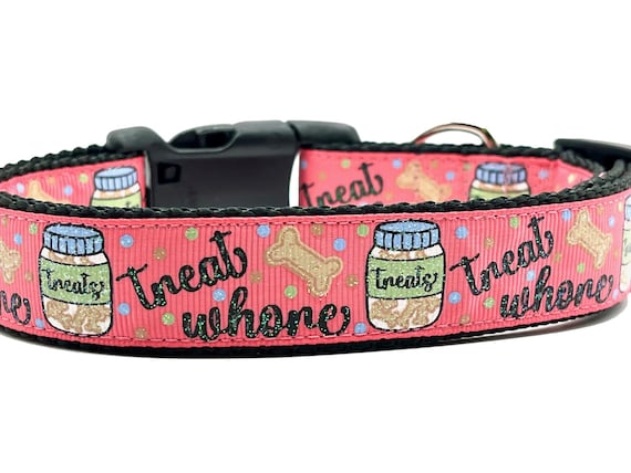 Funny Dog Collar: Treat Design, Nylon Webbing