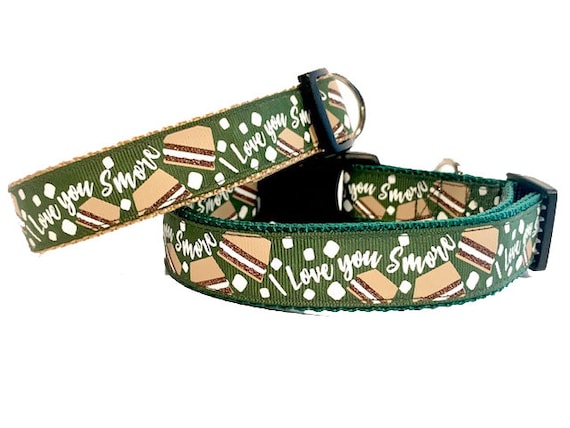 camping dog collar