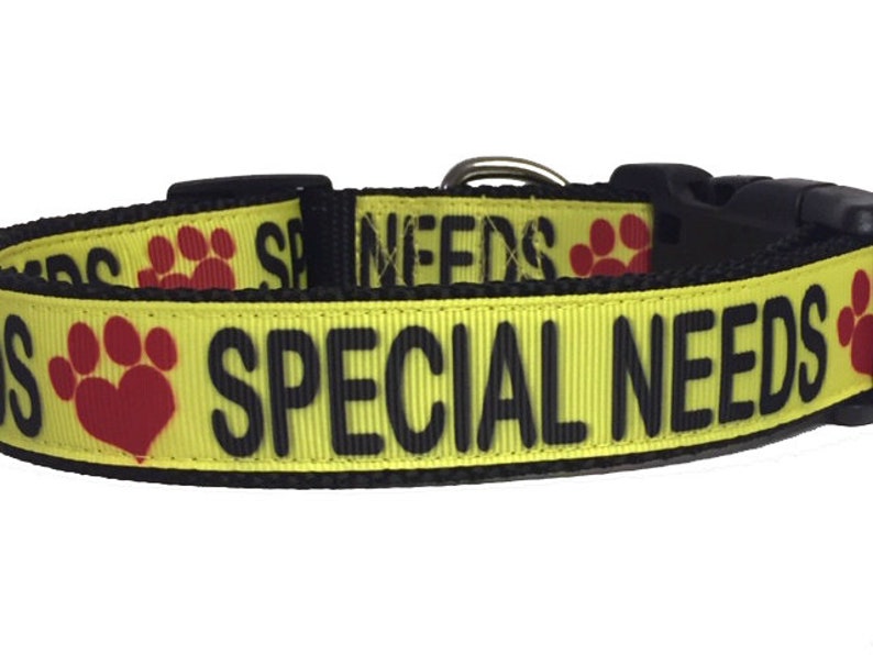 Special Needs Dog Collar or Leash Awareness Deaf Blind Etsy