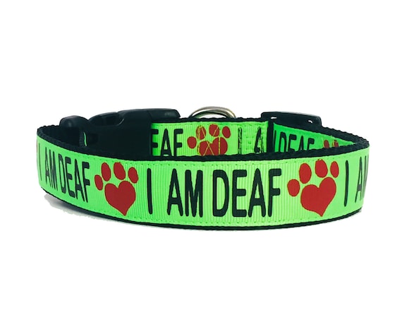 collar for deaf dogs