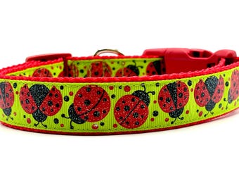 Green Ladybug Dog Collar or Leash: Nylon Webbing, Grosgrain Ribbon