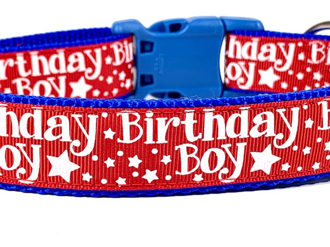 Birthday Boy Dog Collar Happy Birthday Collar Etsy