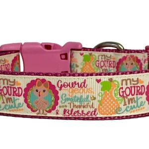 Thanksgiving Dog Collar, My Gourd I&#39;m Cute Dog Collar,