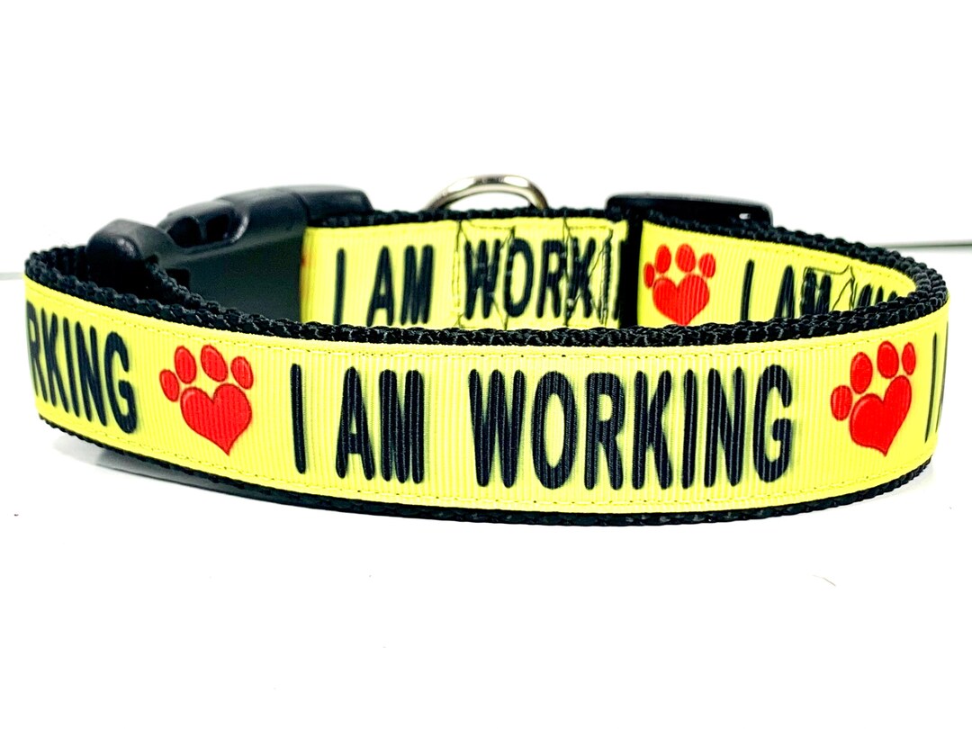 I Am Working Dog Collar Special Needs Dog Leash Etsy