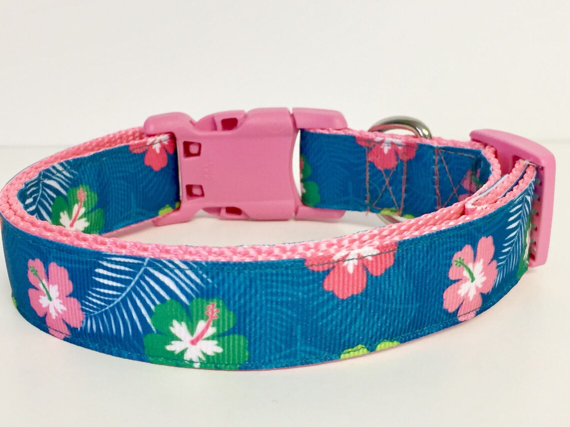 Luau Dog Collar Hawaii Flower Dog Collar Tropical Dog Collar Etsy