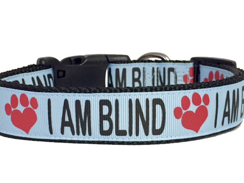 I AM BLIND Dog Collar or Leash Special Needs Dog Blind Dog Etsy