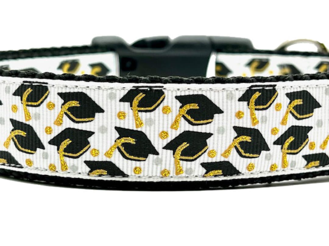 Graduation Dog Collar, Cap and Gown Dog Collar, Grads 2024, High School Graduation Dog Collar