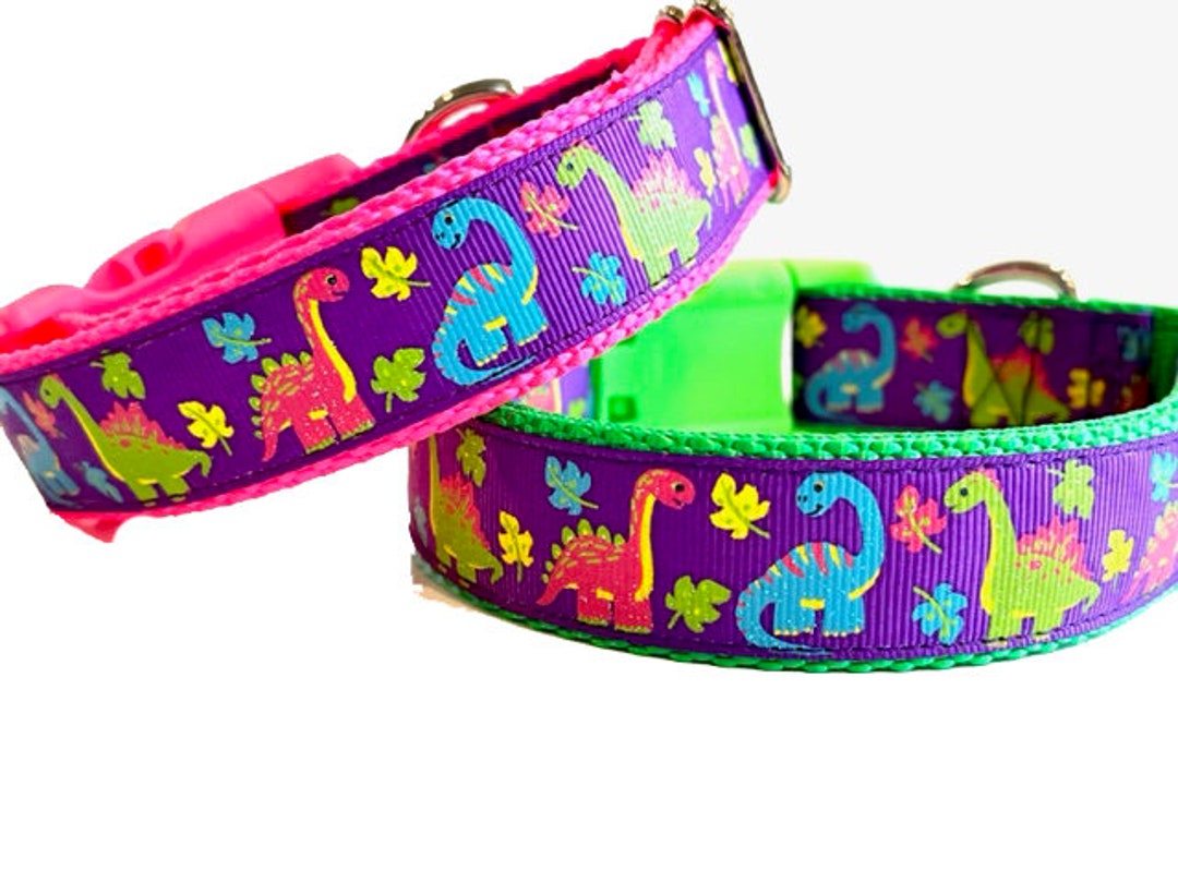 Dinosaur Dog Collar Dino Dog Collar Trex Dog Collar Dino Etsy