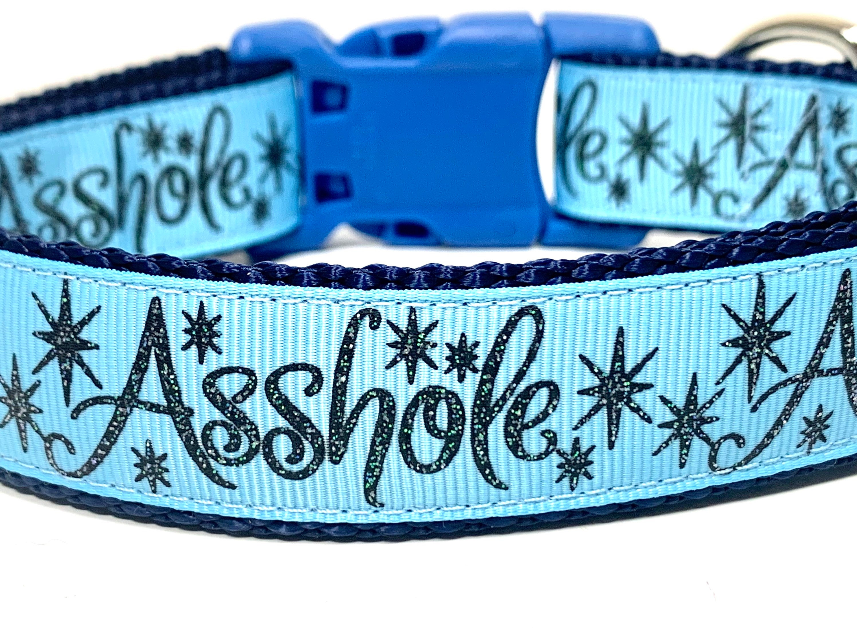 Asshole Dog Collar Funny Dog Collar Bad Words Adult Content 