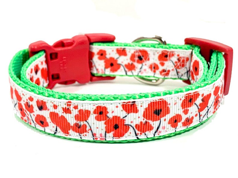 May include: A red and green dog collar with a white background and a red poppy flower pattern.