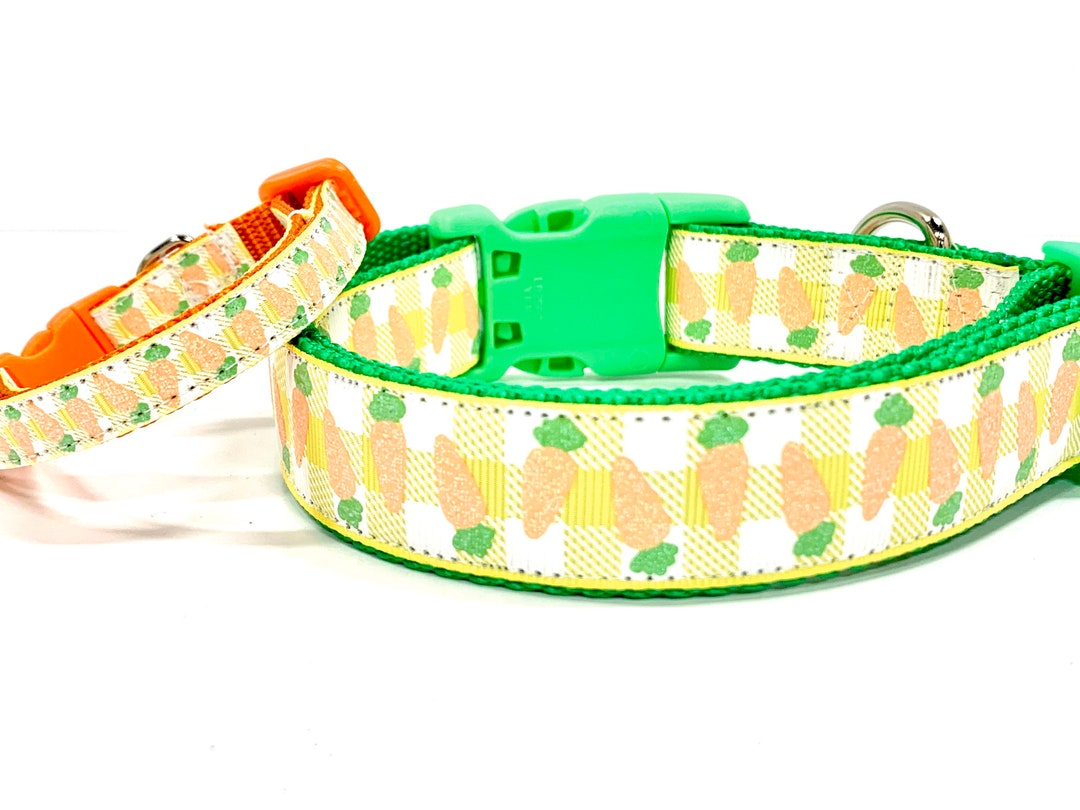 Carrot Dog Collar, Easter Dog Collar, Spring Dog Leash Etsy