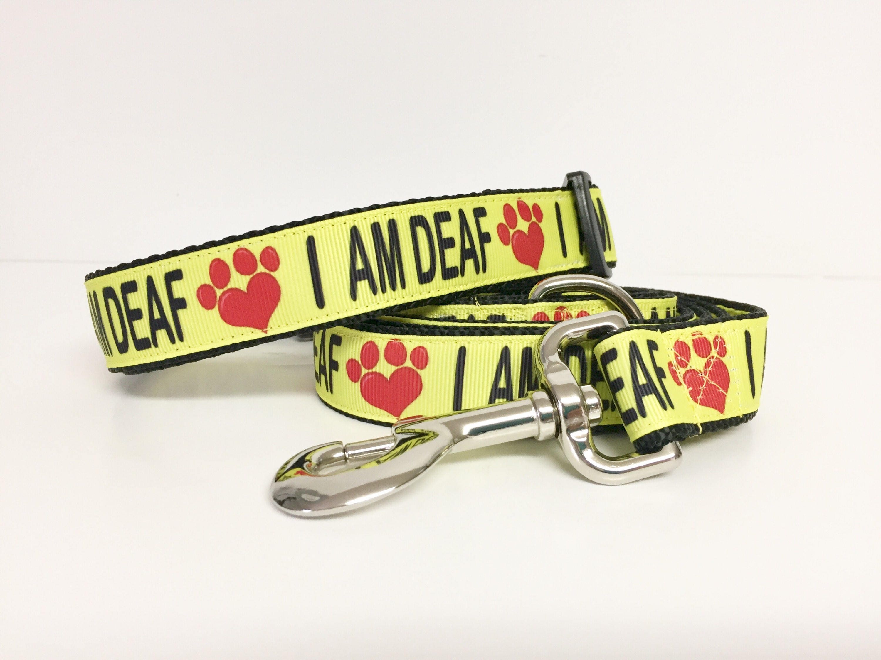 deaf dog gear