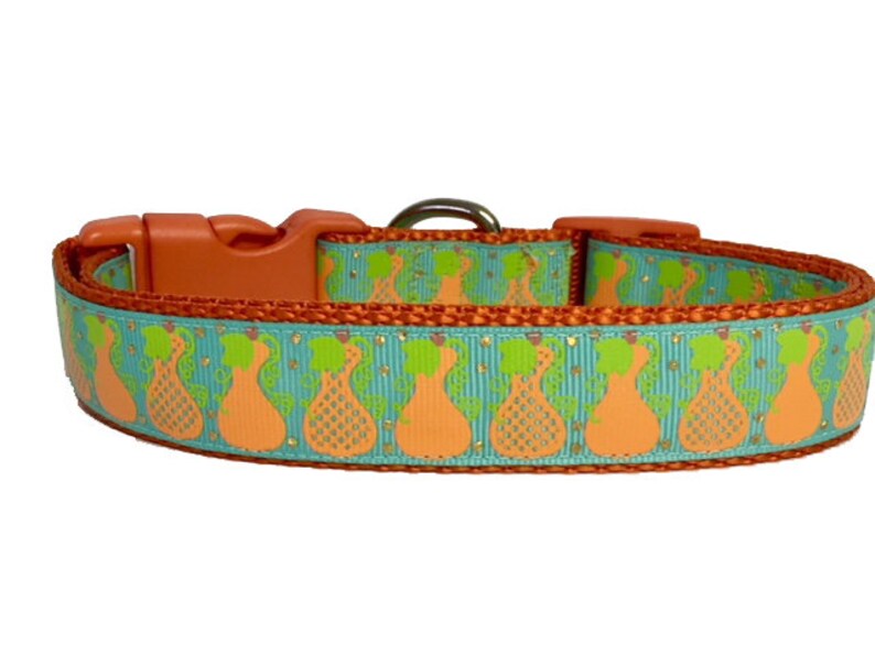 1 inch wide dog collar