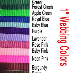 Pode incluir: Uma carta de cores que mostra 16 cores diferentes de fita de 2,5 cm de largura. As cores s&atilde;o vermelho, laranja, amarelo, verde, verde floresta, verde ma&ccedil;&atilde;, azul royal, azul beb&ecirc;, roxo, lavanda, rosa, rosa beb&ecirc;, rosa neon, bord&ocirc;, marrom, branco e preto.