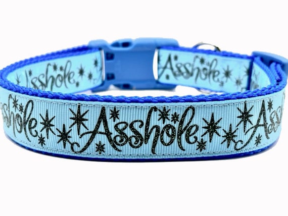 Asshole Dog Collar Funny Dog Collar Bad Words Adult Content 