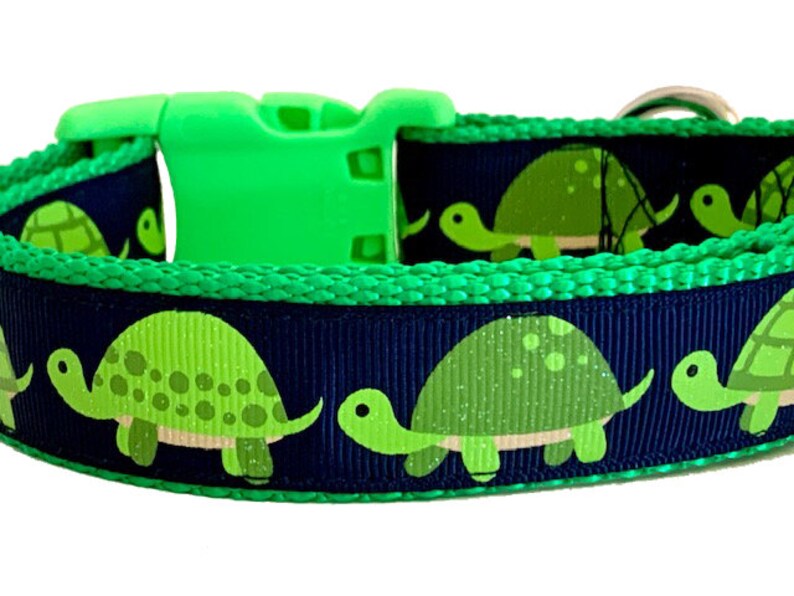 Turtle Dog Collar Save the Turtles Visco Girl Dog Collar Etsy