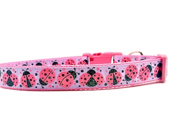 Ladybug Dog Collar or Leash: Pink Purple Insect Garden Design