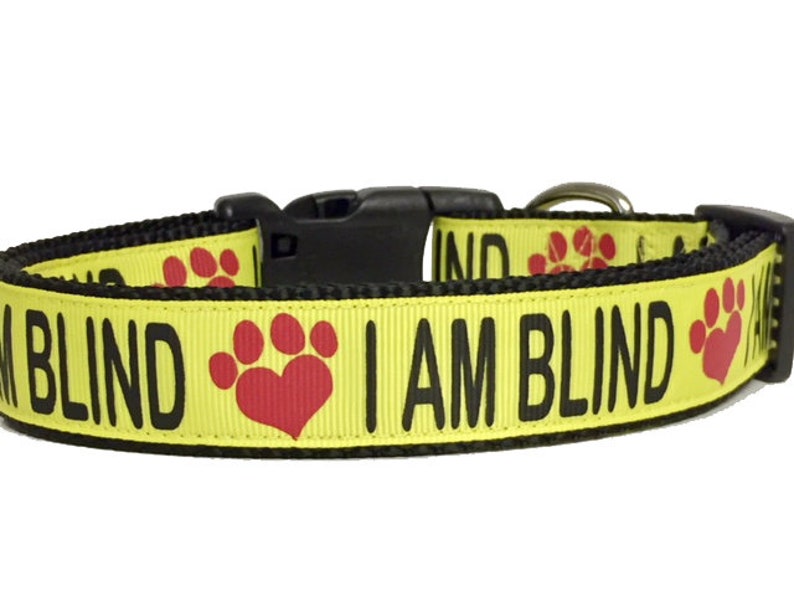 I AM BLIND Dog Collar or Leash Special Needs Dog Blind Dog Etsy
