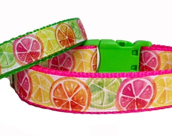 Citrus Fun - Dog Collar - Lemons - Limes - Neon - USA - Pet - Gift - Summer - Bbq - Holiday - Puppy - Handmade -