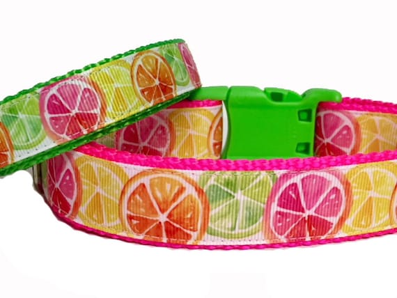 citrus dog collar